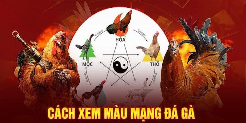 Hướng dẫn cách xem màu mạng gà